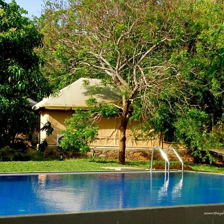 Hotel The Yala Adventure Tissamaharama Zewnętrze zdjęcie