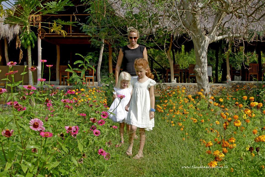 Hotel The Yala Adventure Tissamaharama Zewnętrze zdjęcie