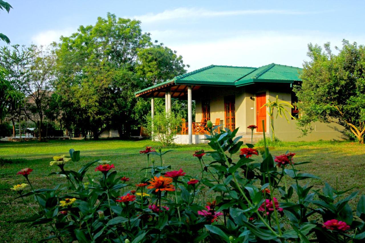 Hotel The Yala Adventure Tissamaharama Zewnętrze zdjęcie